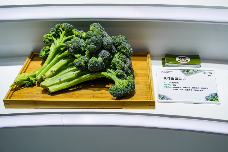 OEŷ��|�ٷ���վ